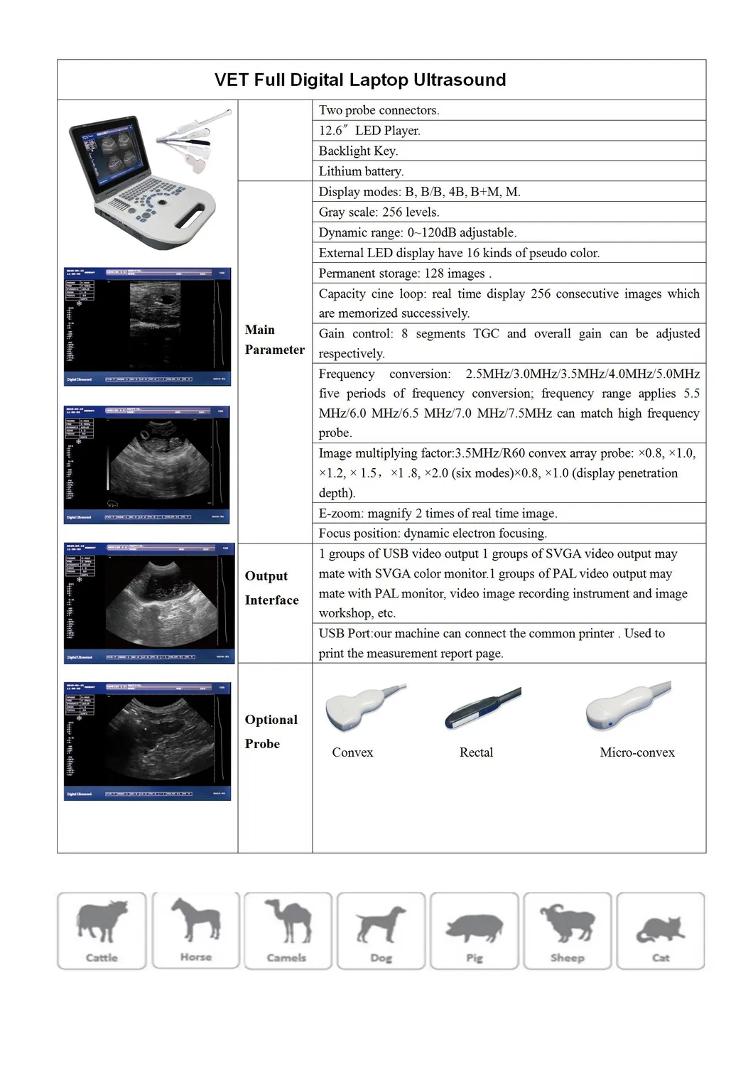 Veterinary Ultrasound Scanner