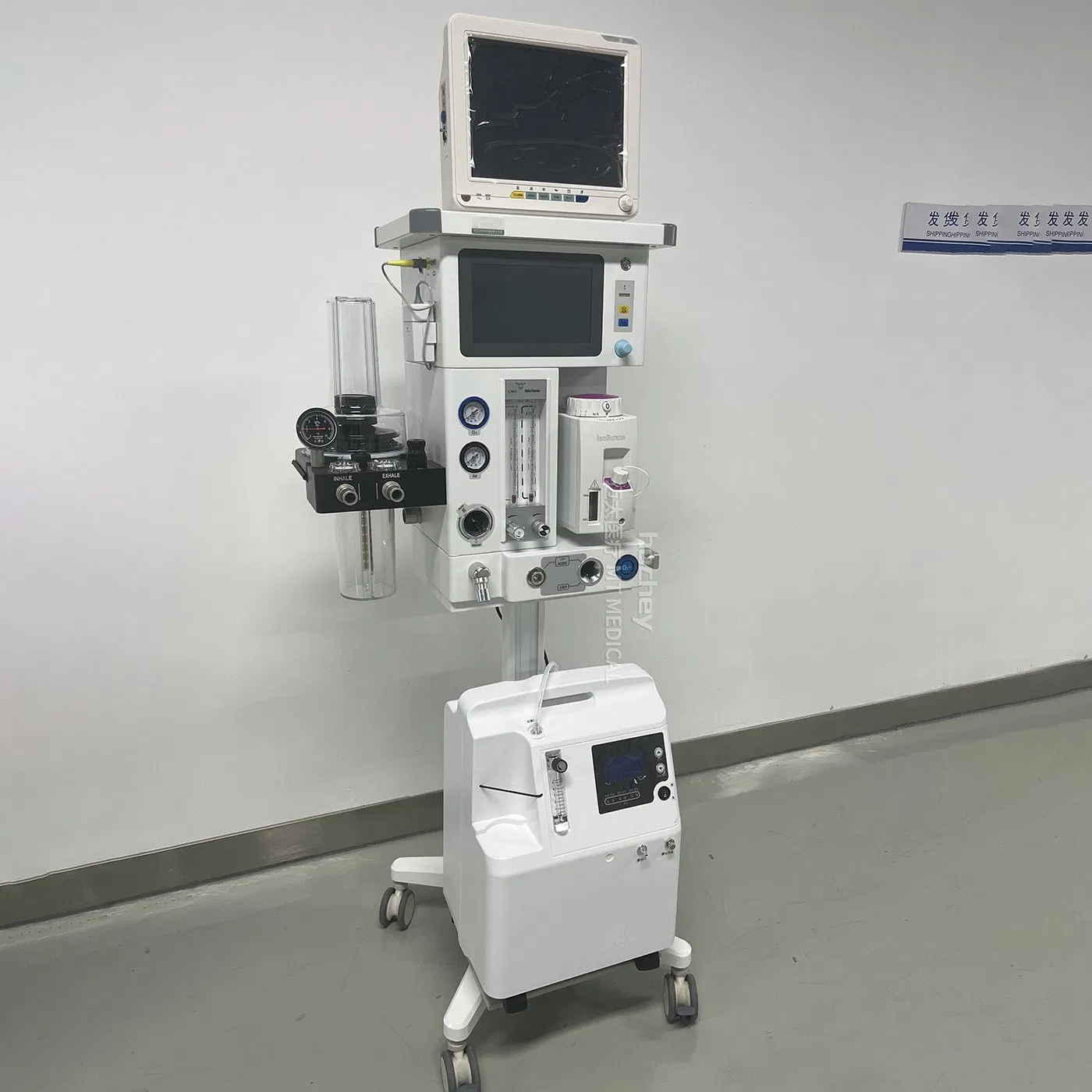 Anesthesia Machine for Cat Dog Use Animal Hospital Medical Device High Performance