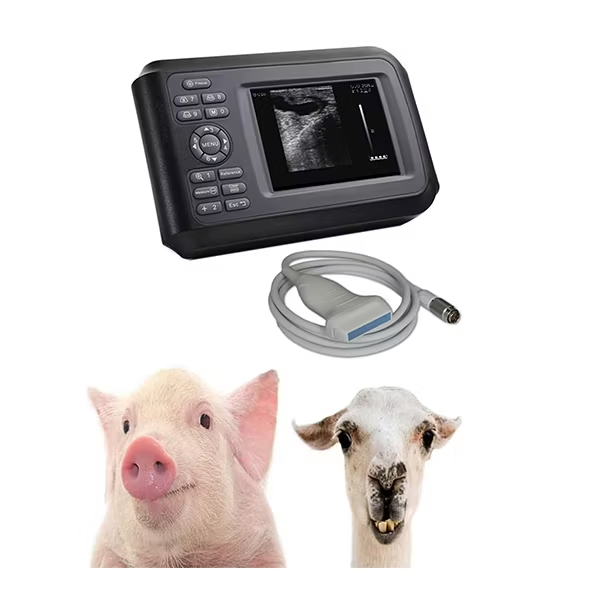 Vet Ultrasound Scanner Veterinary Portable Ultrasound Machine Scanner Handheld Bw Ultrasound Machine