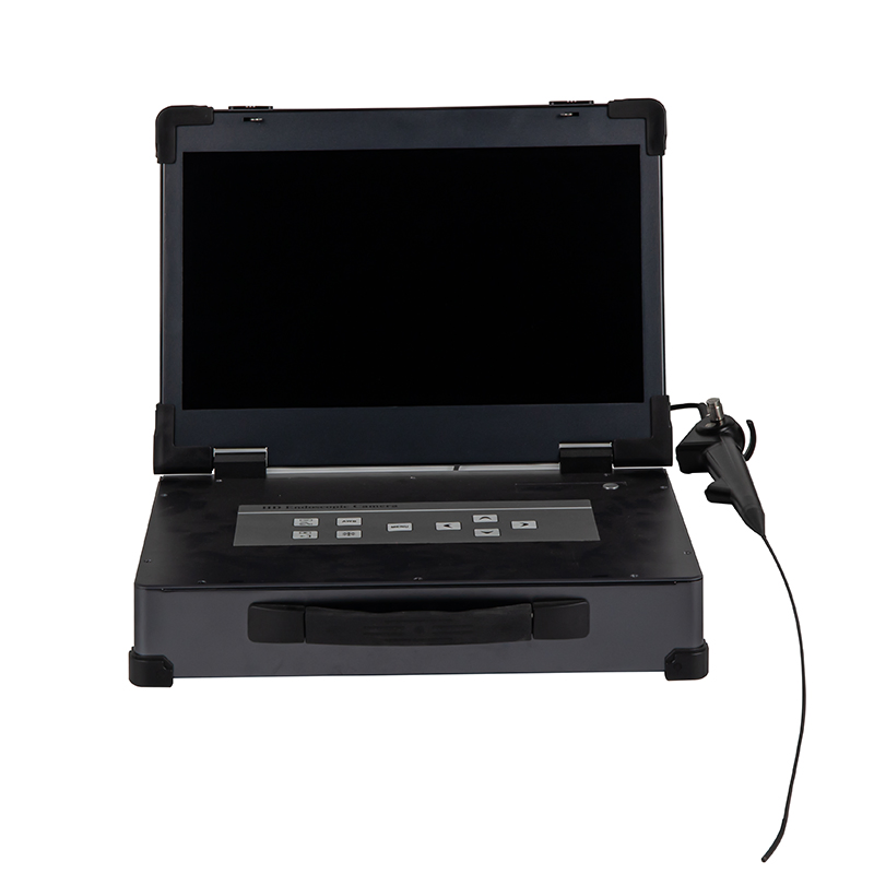 Medical Portable Video Endoscope Disposable Flexible Endoscope for Ent/Urology/Hysteroscopy/Cystoscope