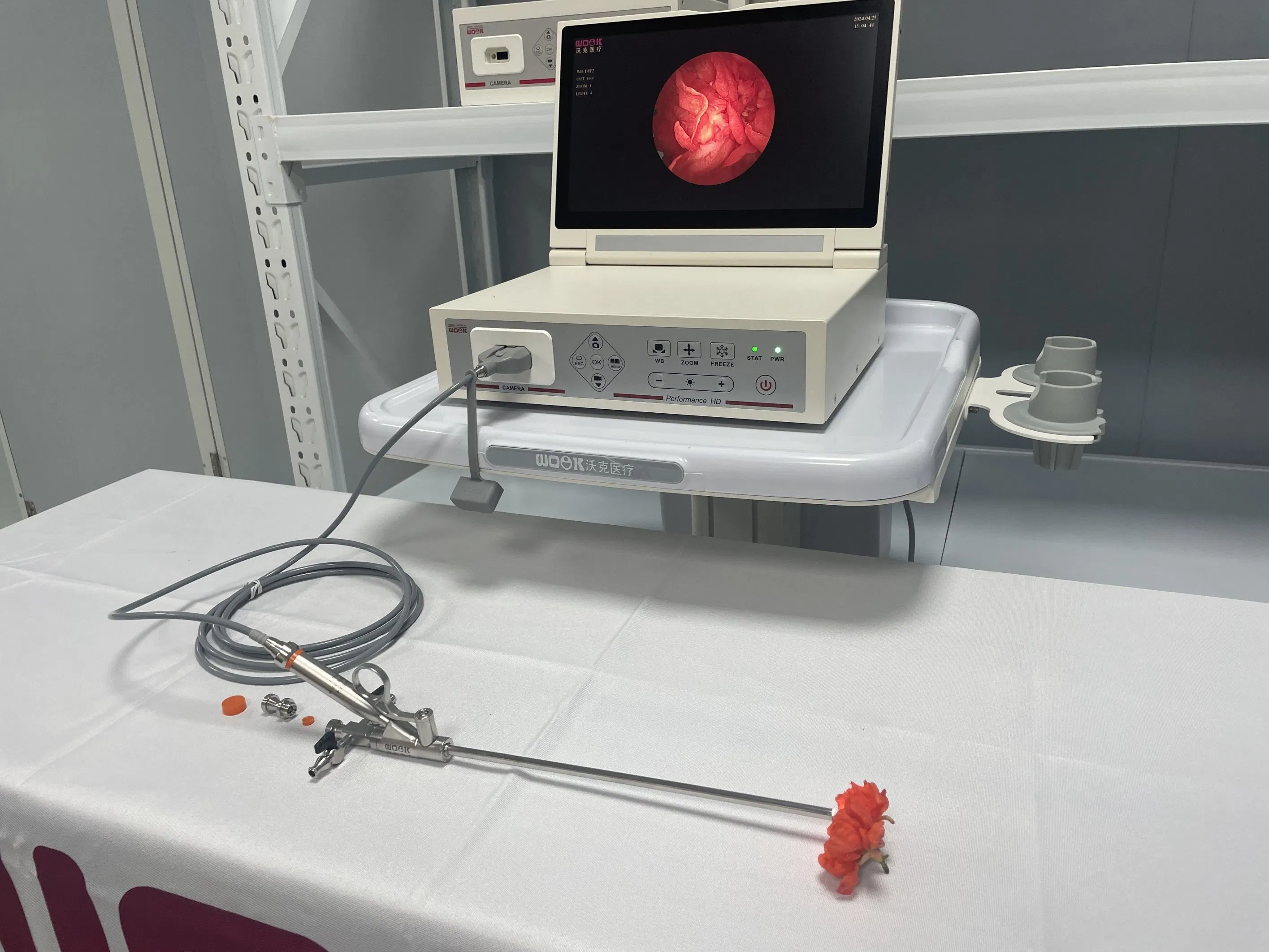 Rigid Digital Video Nephroscope Nephroscopy Percutaneous Nephrolithotomy Endoscope