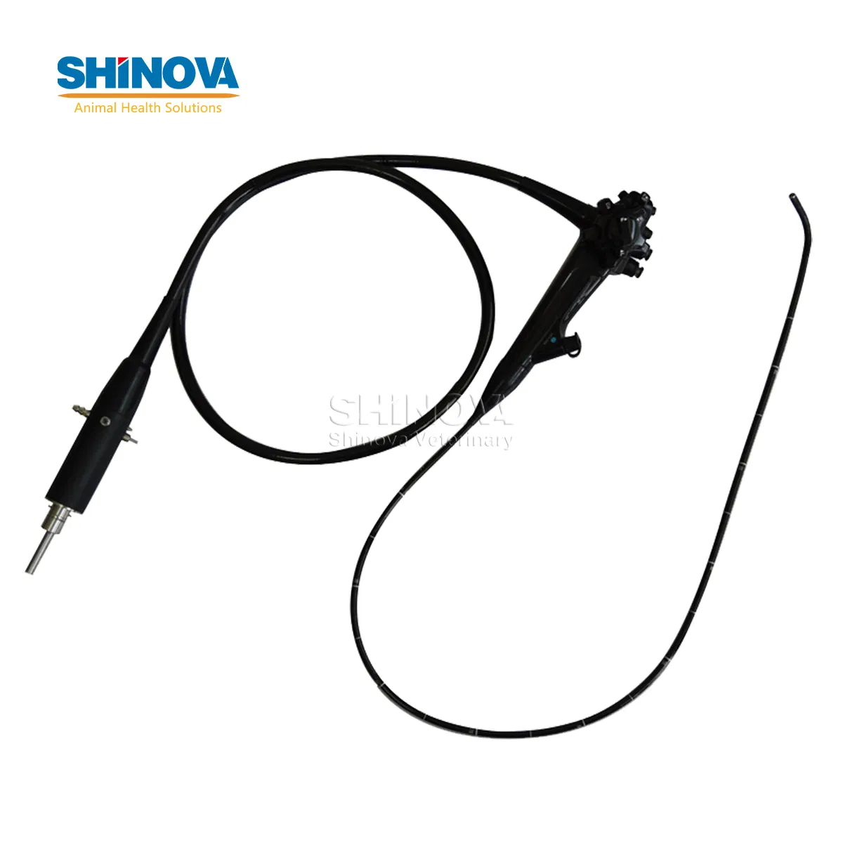 1500mm Endoscope Pet Gastroscopy Veterinary Endoscope for Veterinary Clinic &amp; Hospitals