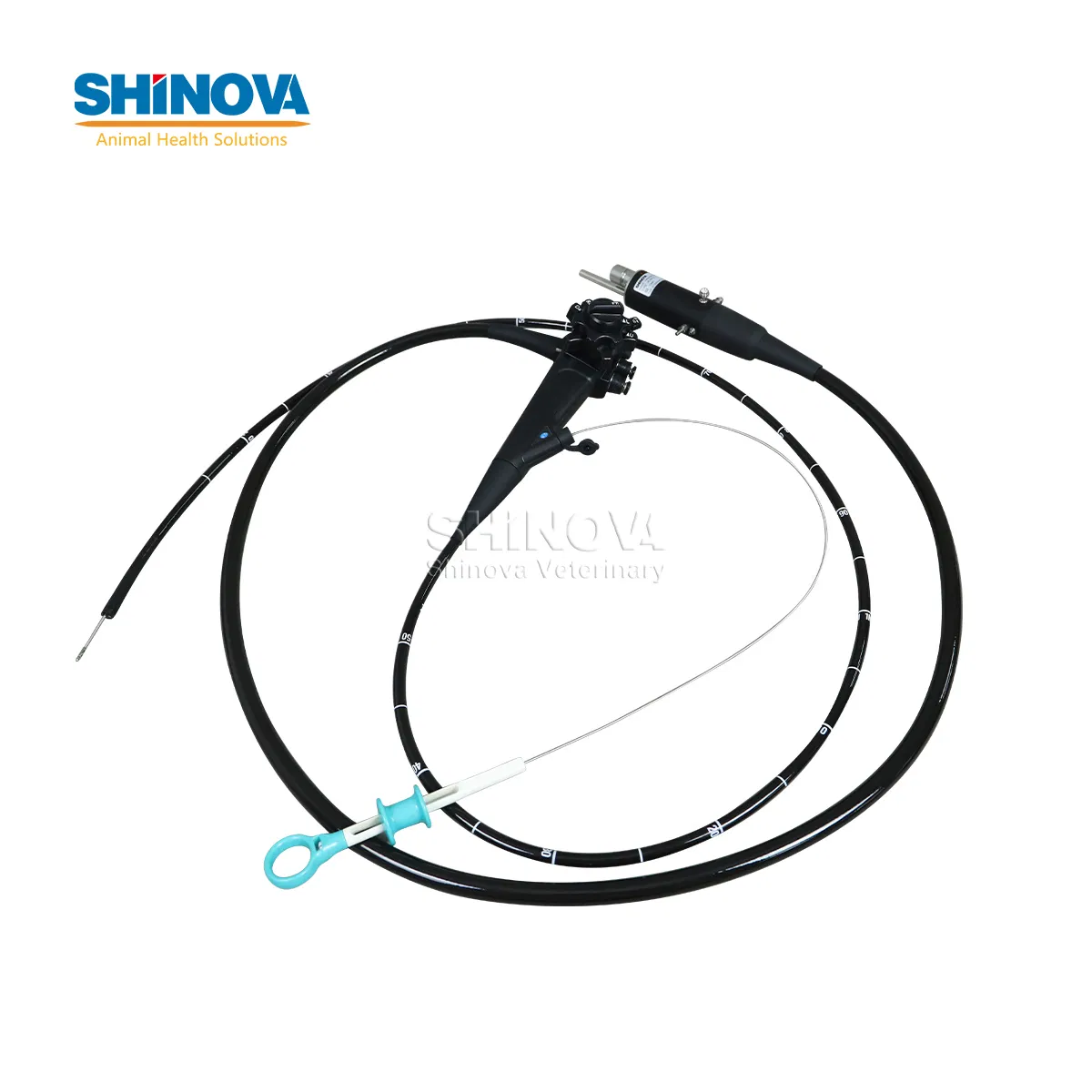 1500mm Endoscope Pet Gastroscopy Veterinary Endoscope for Veterinary Clinic &amp; Hospitals