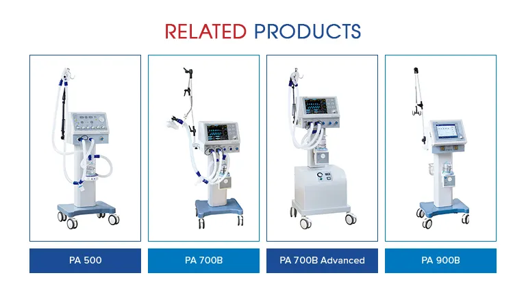 Ventilator Interface