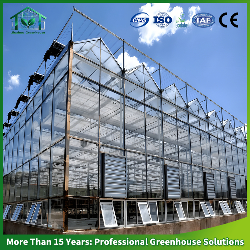 Versatile Hydroponic Greenhouse System for Diverse Vegetable Cultivation