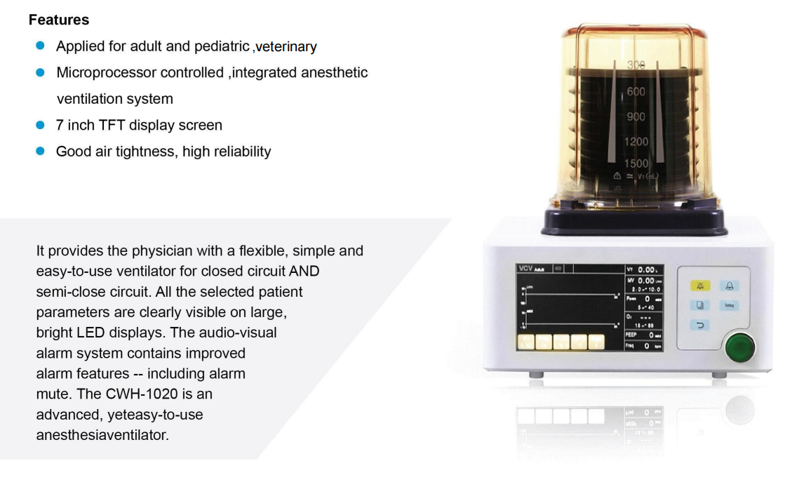Interface Display