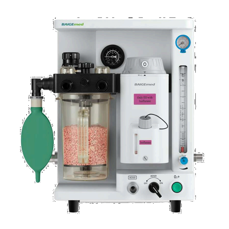 Product View 6