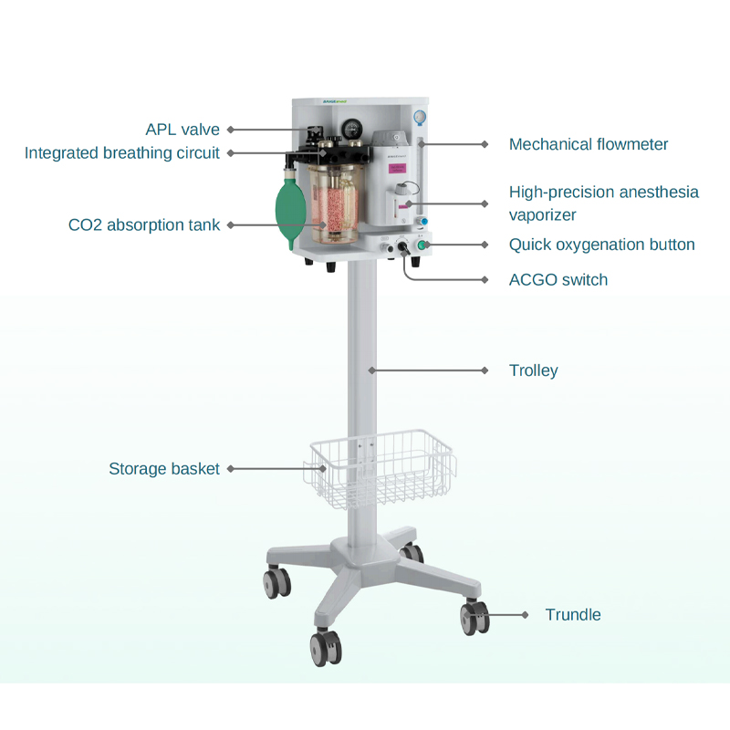 Portable Pet Clinic Anesthesia Ventilator Machine Veterinary Medical Equipment of High Quality