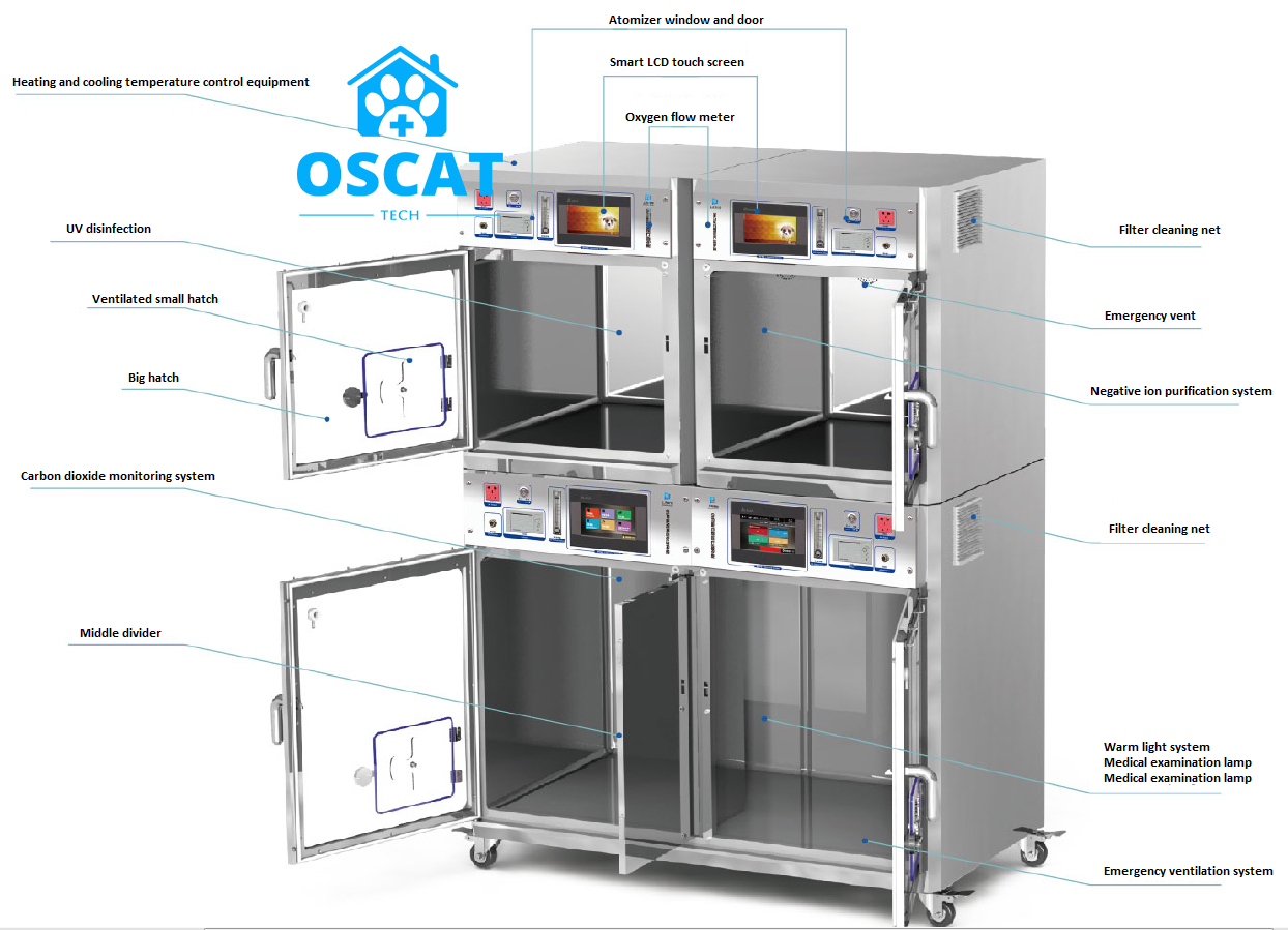 Product View