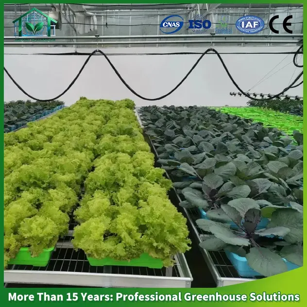 Soilless Cultivation 3