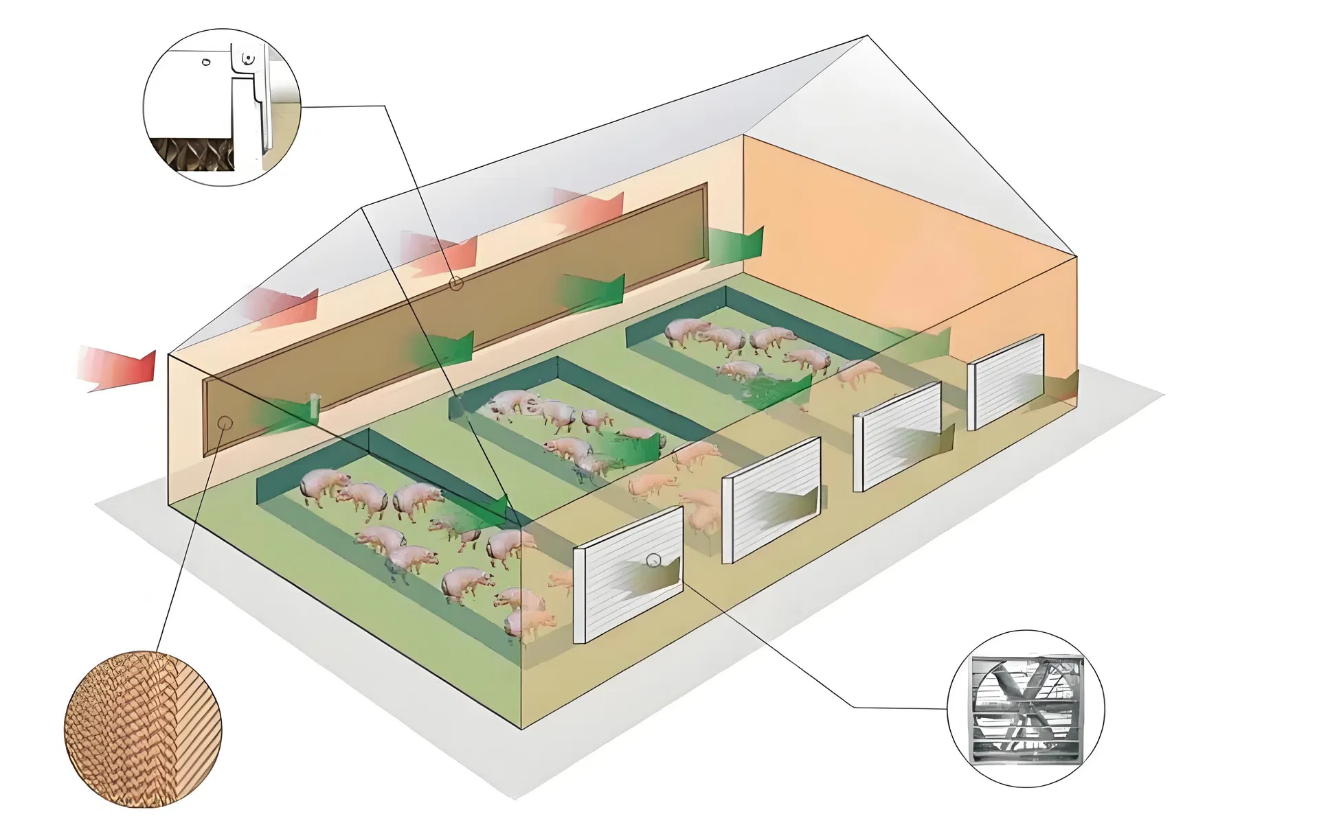 Greenhouse Fan Application 1