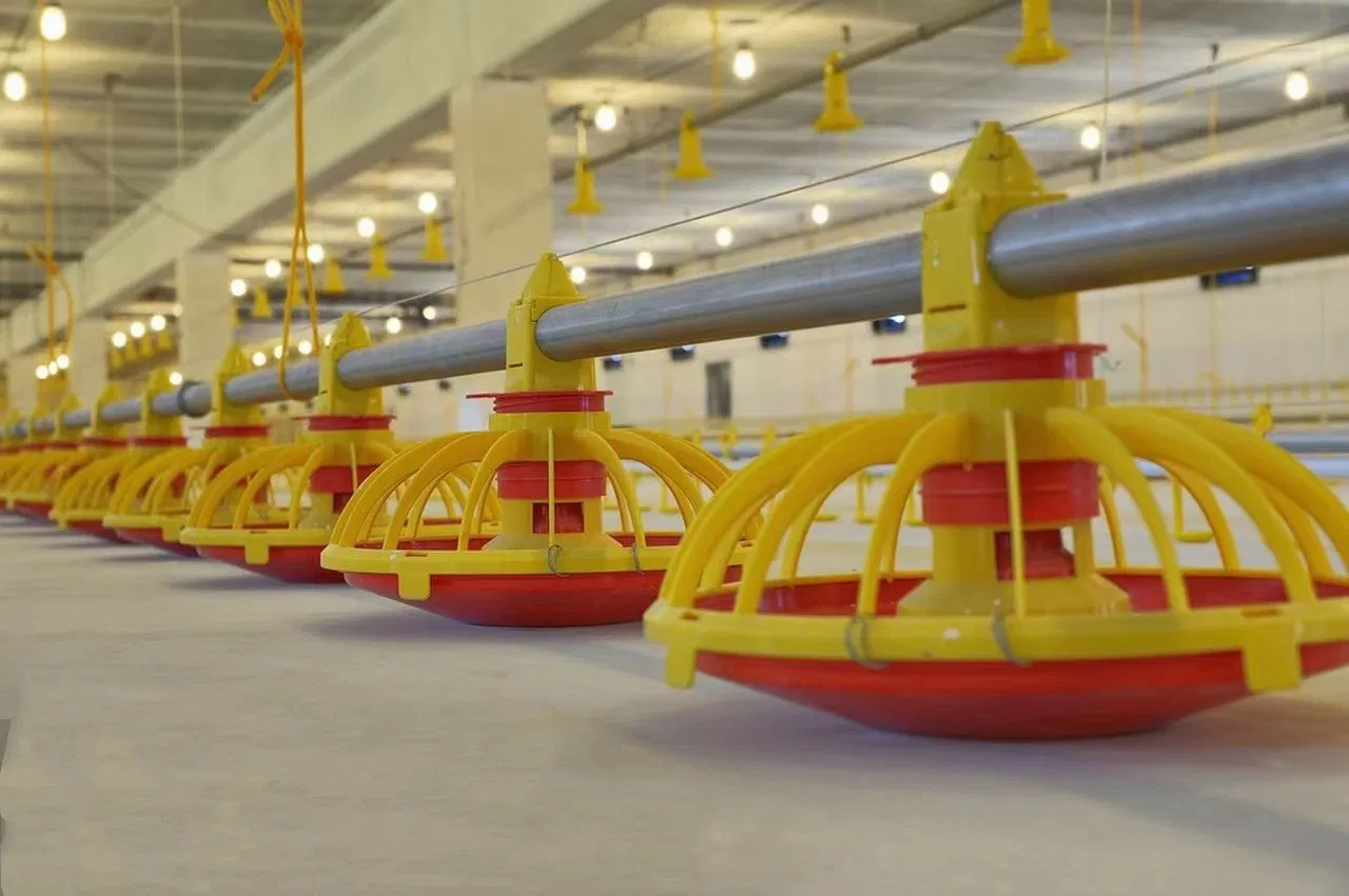 Innovative Poultry Feeding System with Smart Drinking Nipples