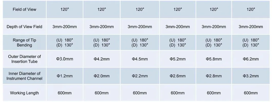 Endoscope Feature 1