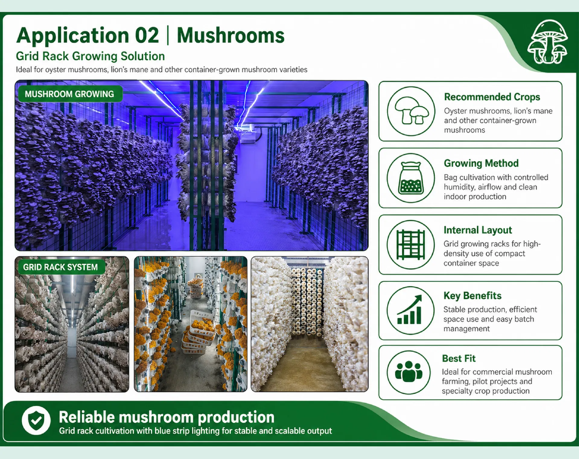 Mushroom Farming