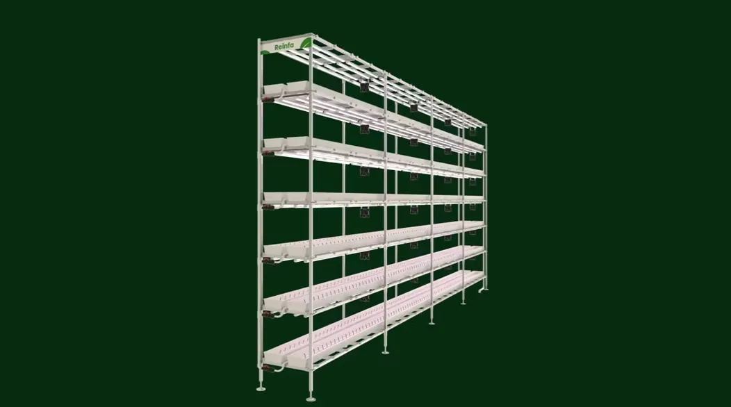 Vertical Strawberry Farm Solution