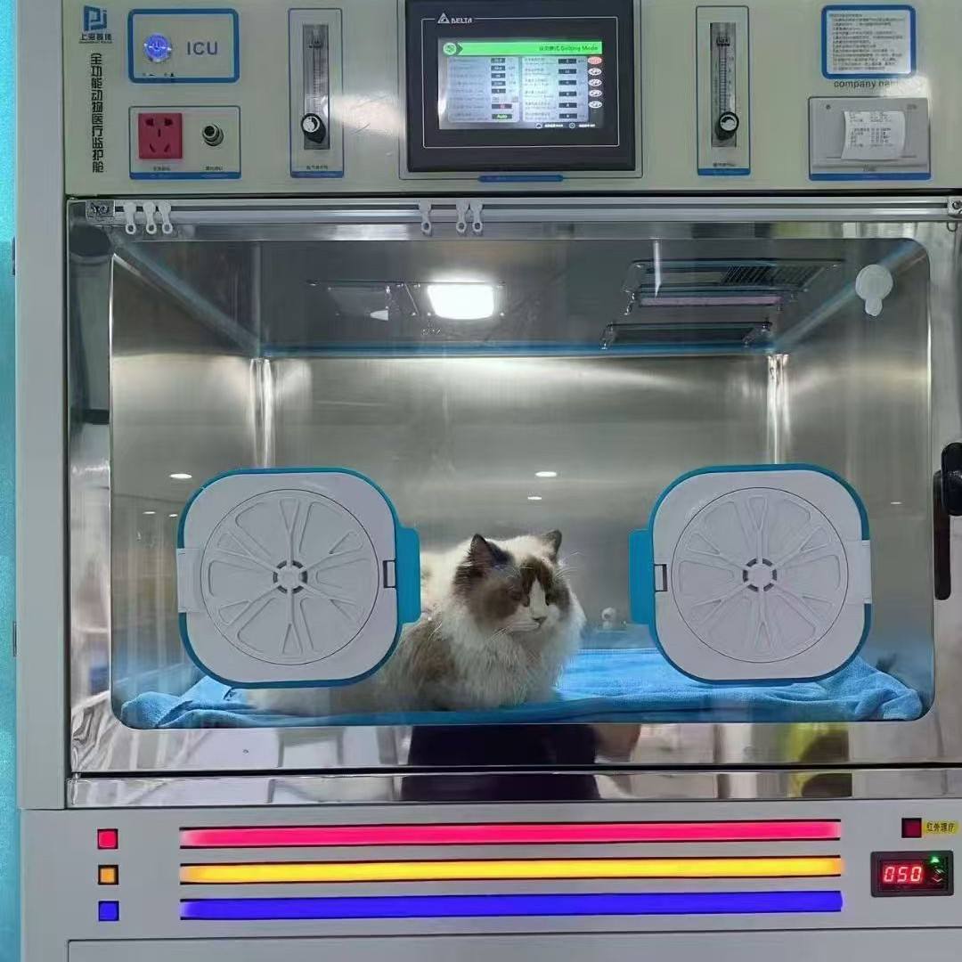 CE Certified Intensive Care Unit Single Unit Electric Assembled Acrylic Safety Class II Veterinary Diagnostic Medical Equipment