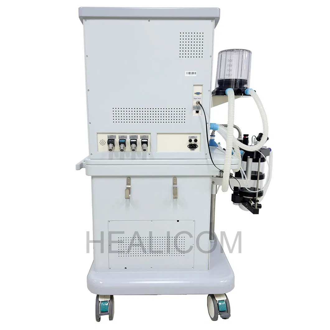 Product View 6