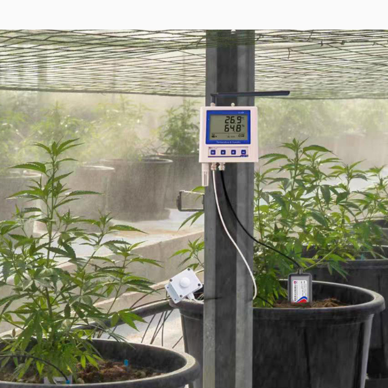 Automated Greenhouse Climate Management System with IoT Sensor Monitoring