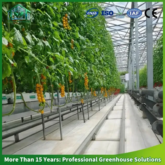 Soilless Cultivation 2