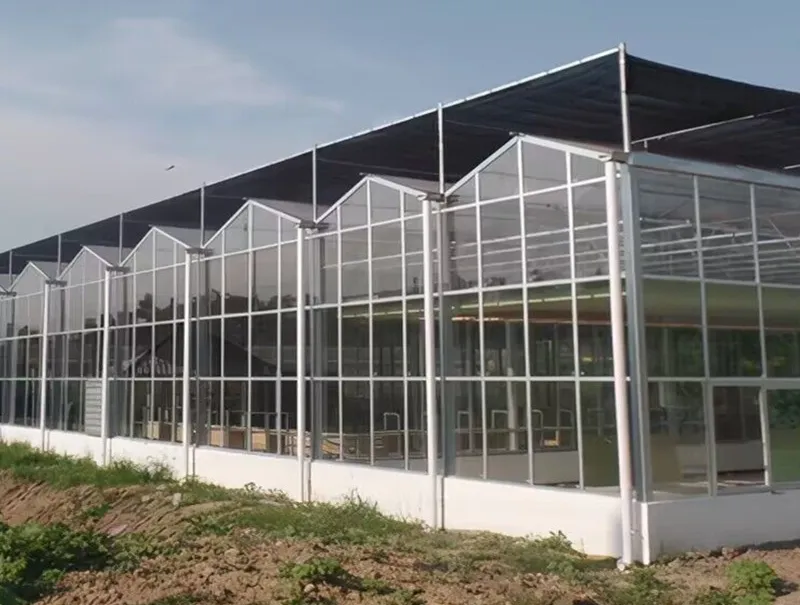Sunshade System