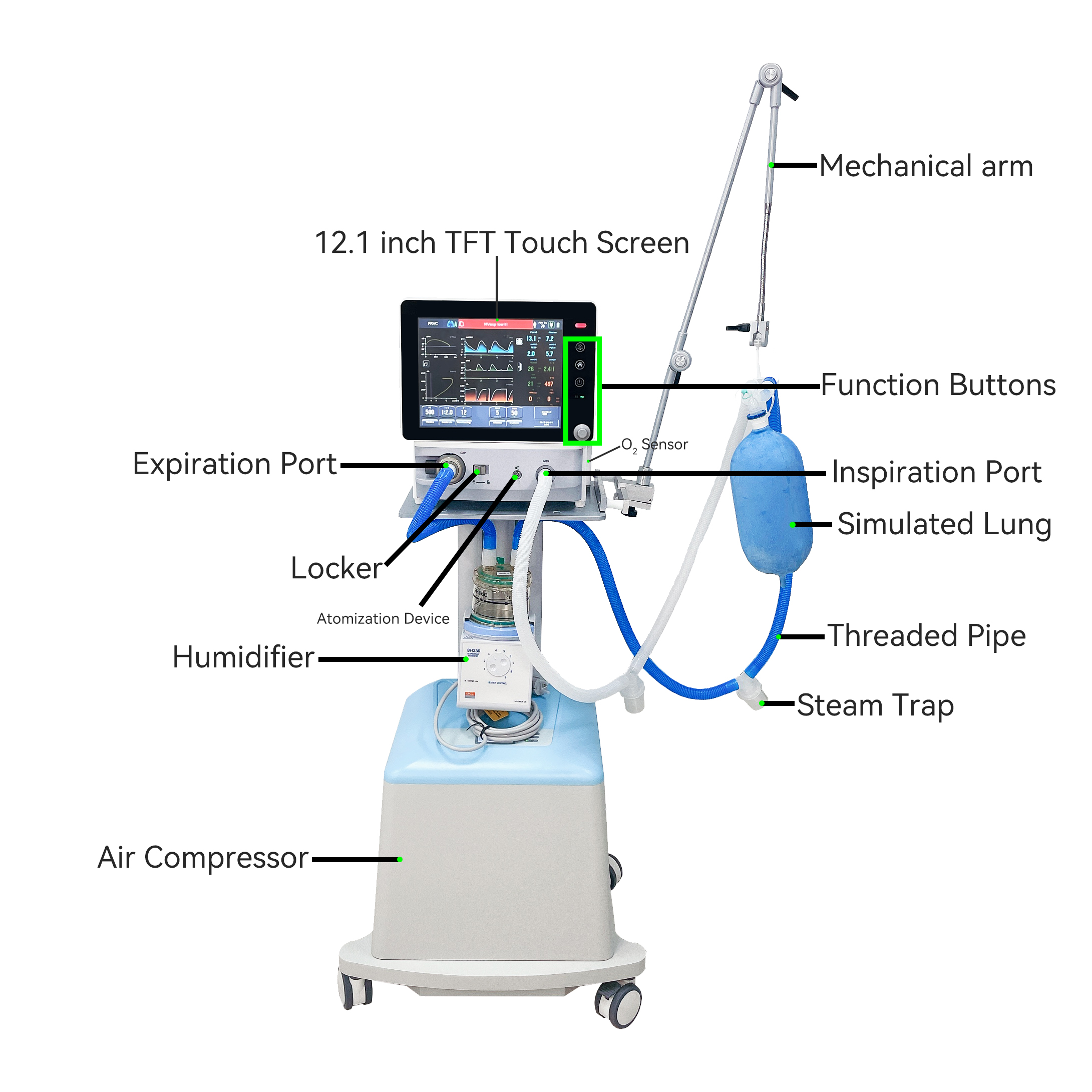 Hospital Medical Ventilator Equipment Positive Pressure Veterinary Instrument for Animal Care