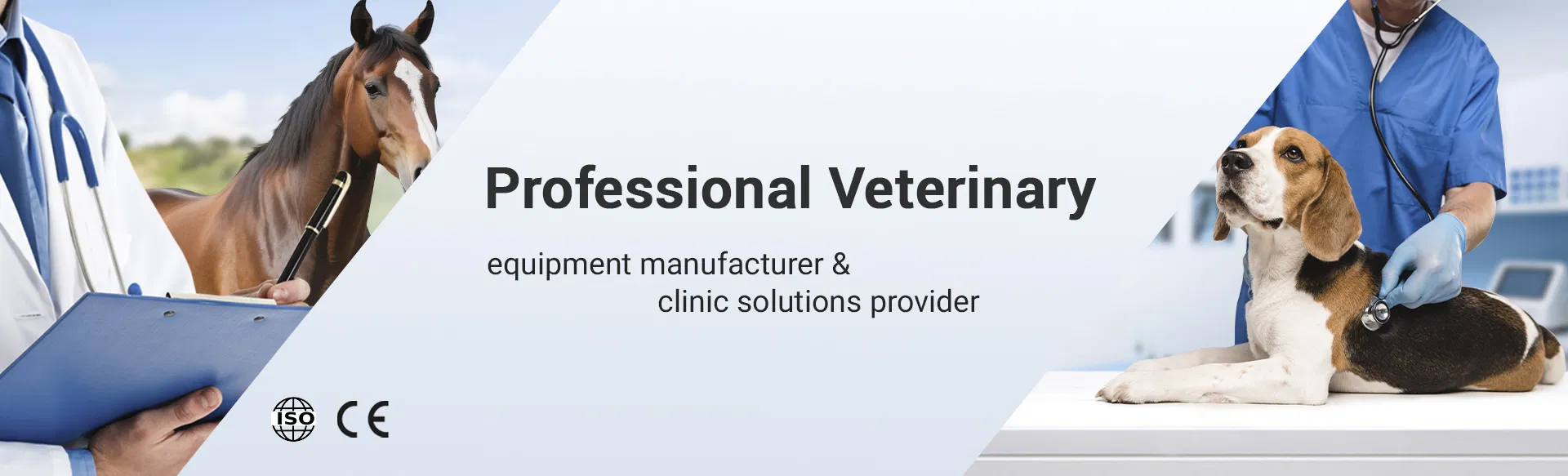 Clinical Application