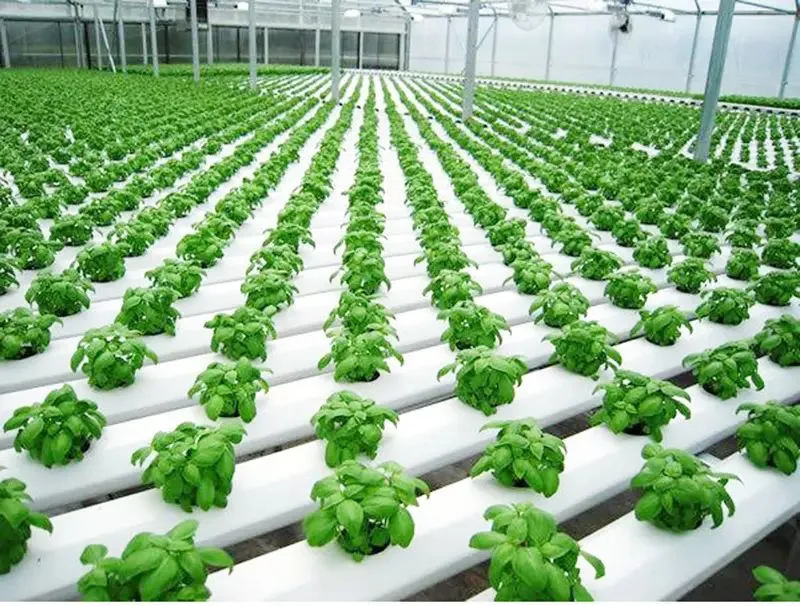 Irrigation System 2