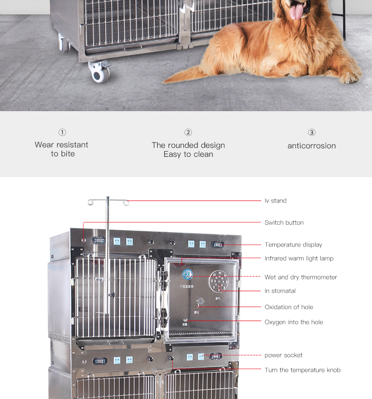 Veterinary Cage 2