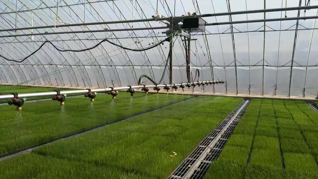 Sprinkling System