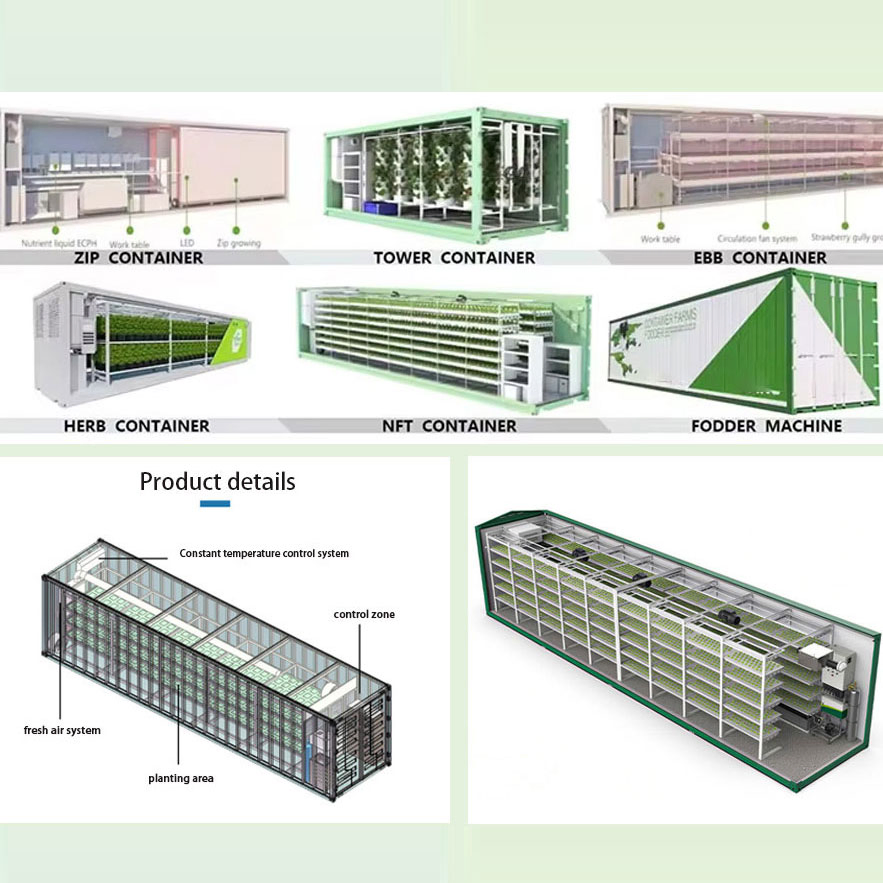 Hydroponic Shipping Container Farms Box Modular Farm Solution 40hq Hydroponic Container System