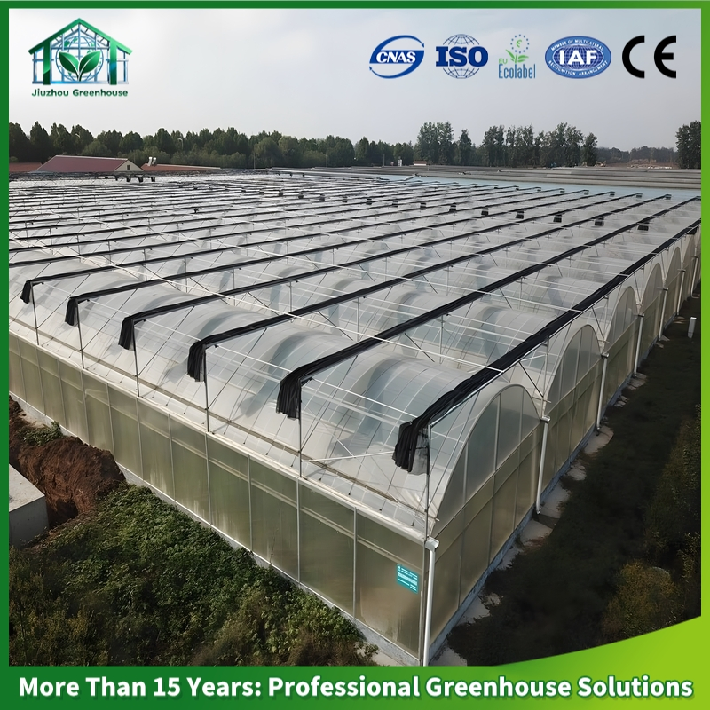 Versatile Hydroponic Greenhouse System for Diverse Vegetable Cultivation