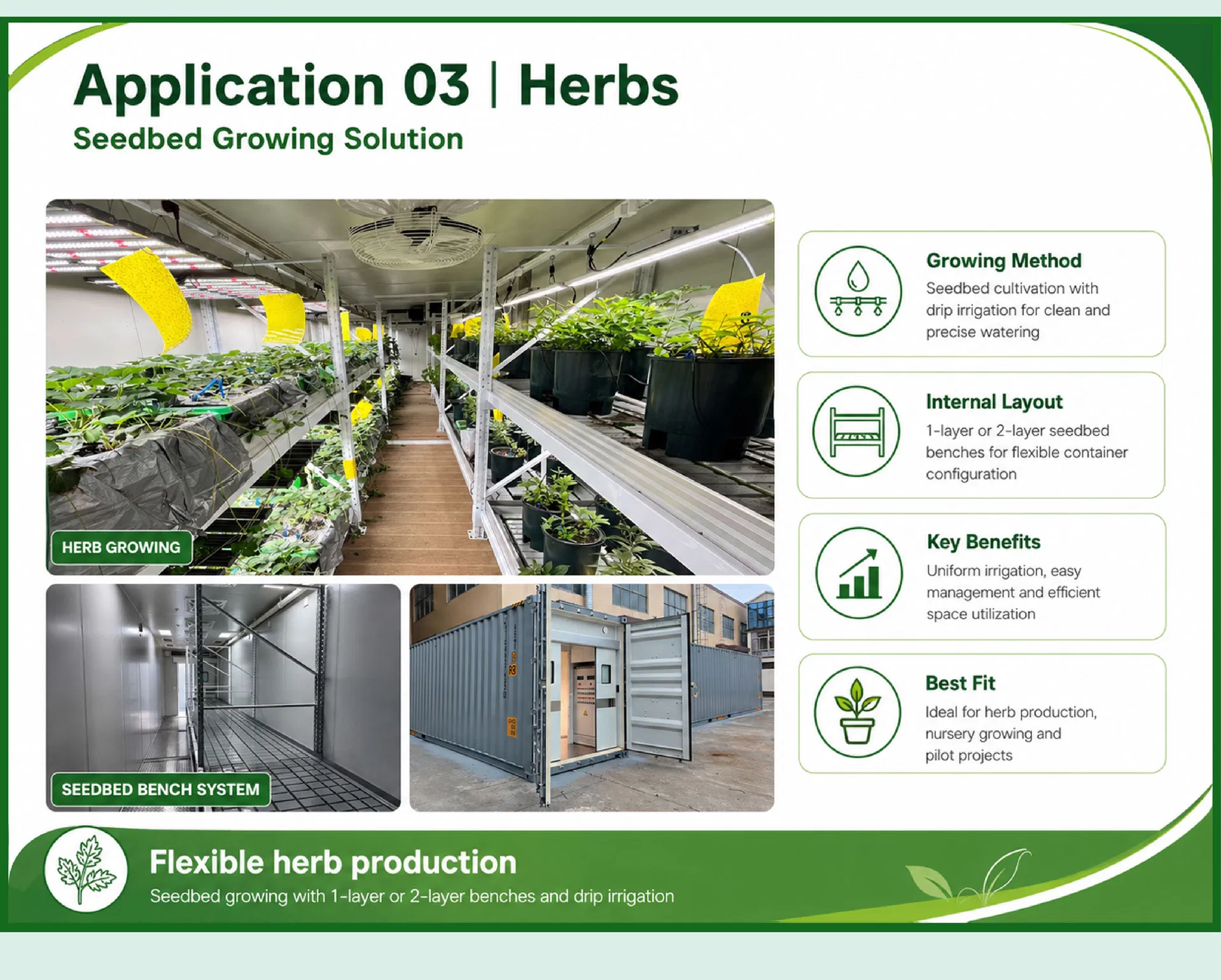 Hydroponic Fodder