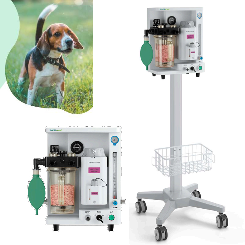 Portable Pet Clinic Anesthesia Ventilator Machine Veterinary Medical Equipment of High Quality
