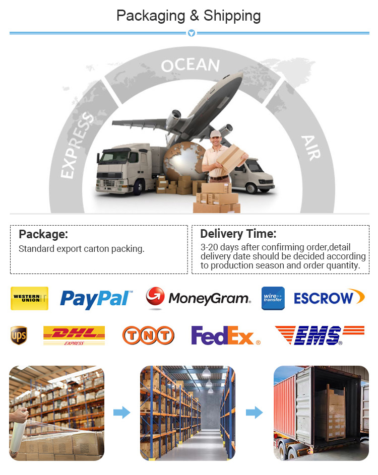 Product View 7