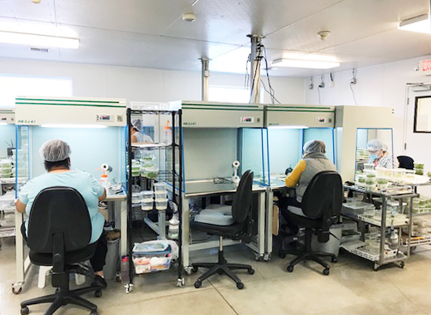 Laboratory