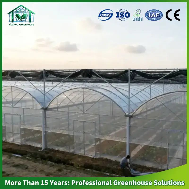 Versatile Hydroponic Greenhouse System for Diverse Vegetable Cultivation