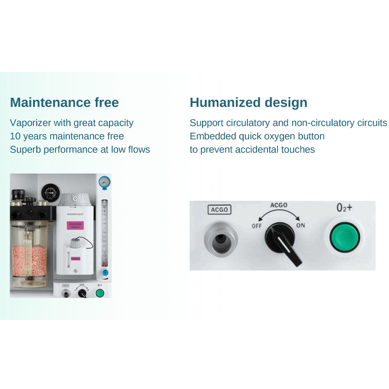 Portable Pet Clinic Anesthesia Ventilator Machine Veterinary Medical Equipment of High Quality