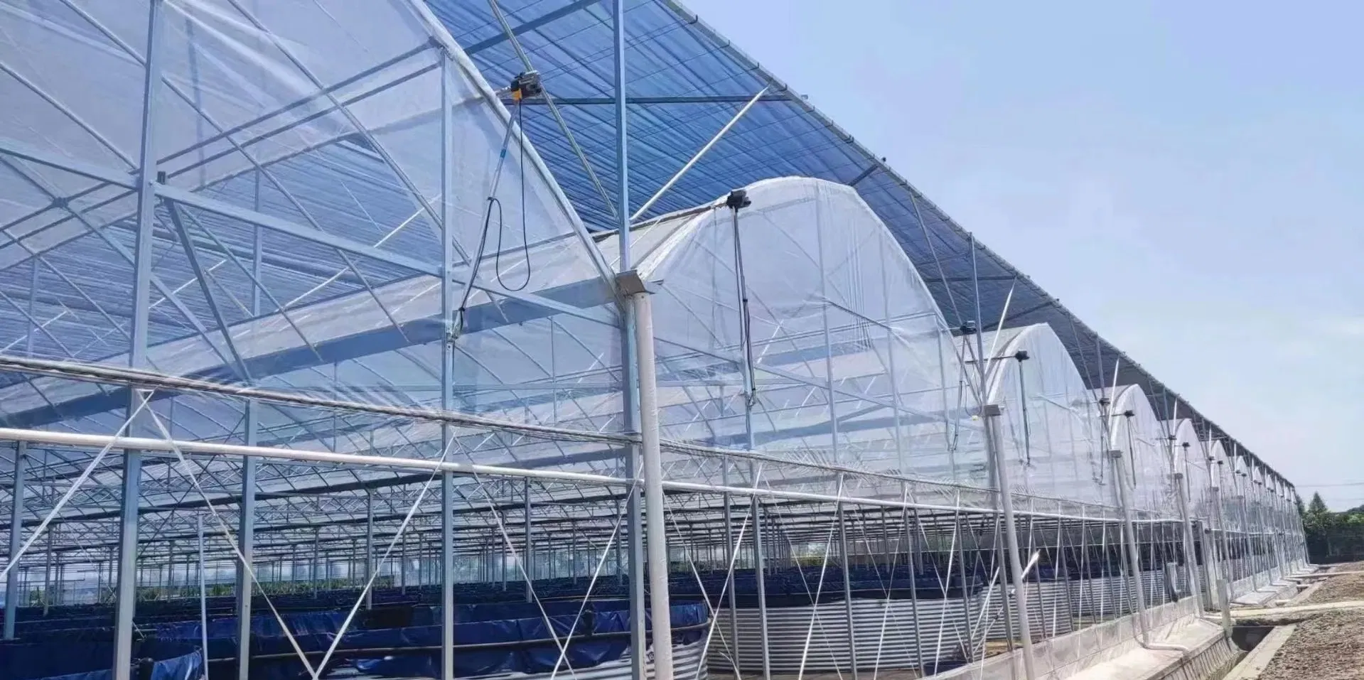 Multi-span PE Film Greenhouse