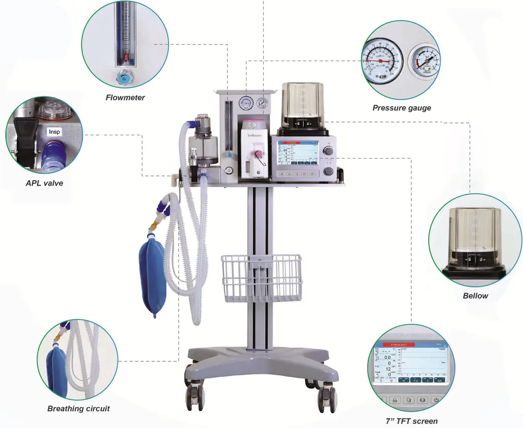 Veterinary Anesthesia System Display