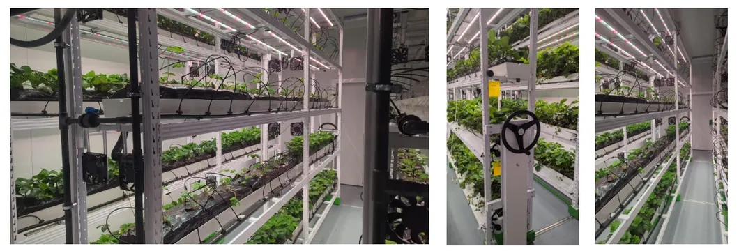 Smart Hydroponic Dripping System