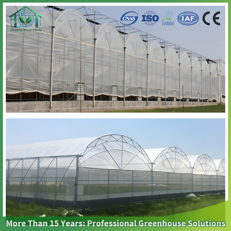 Versatile Hydroponic Greenhouse System for Diverse Vegetable Cultivation