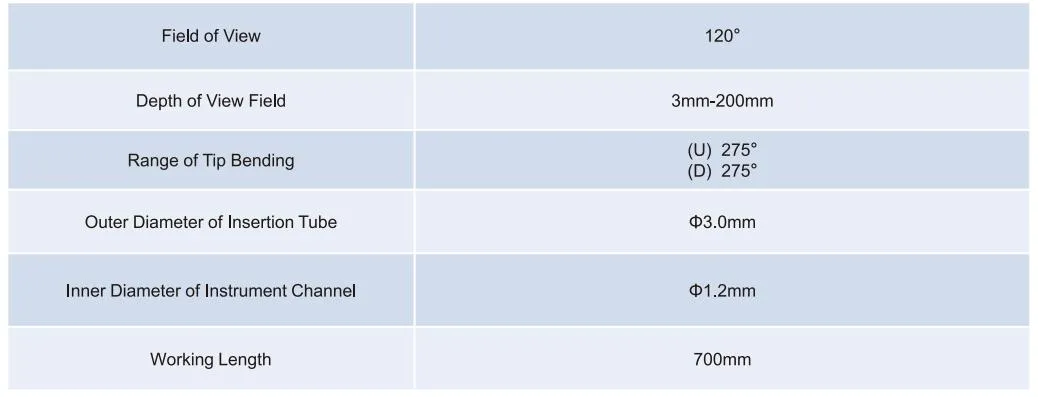 Endoscope Feature 4
