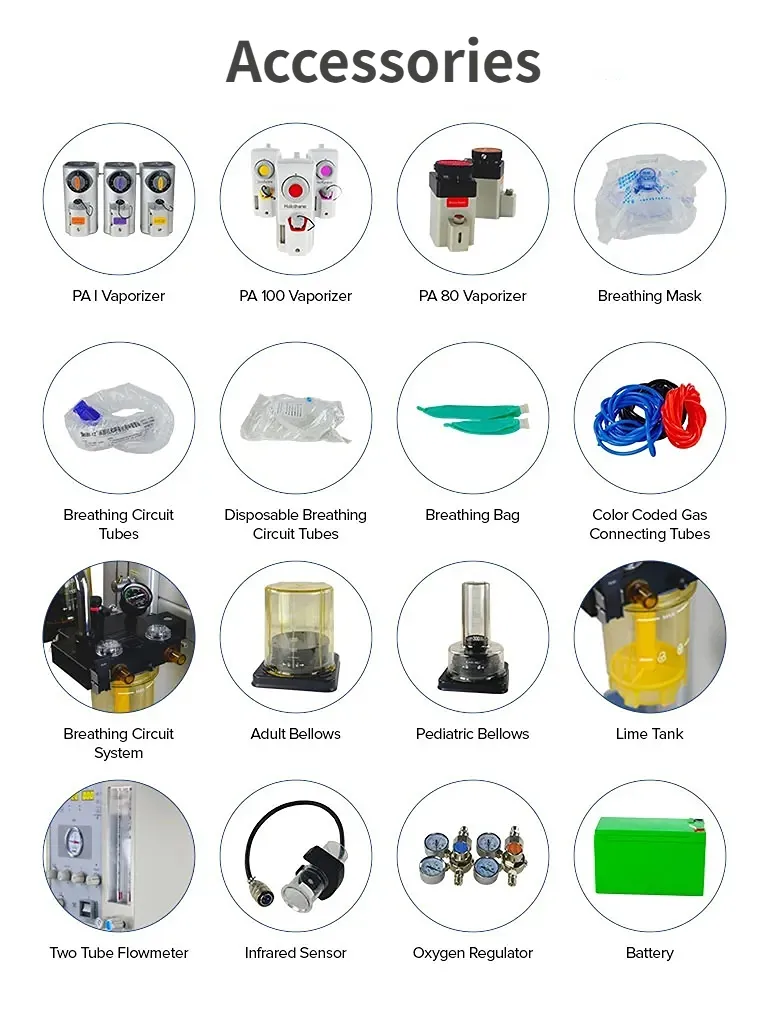 Component 5