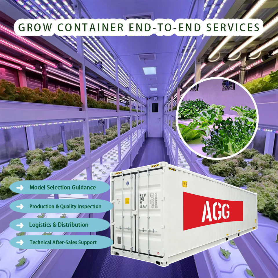 Hydroponic Shipping Container Farms Box Modular Farm Solution 40hq Hydroponic Container System