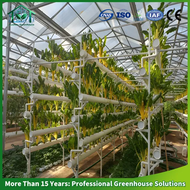 Soilless Cultivation 1