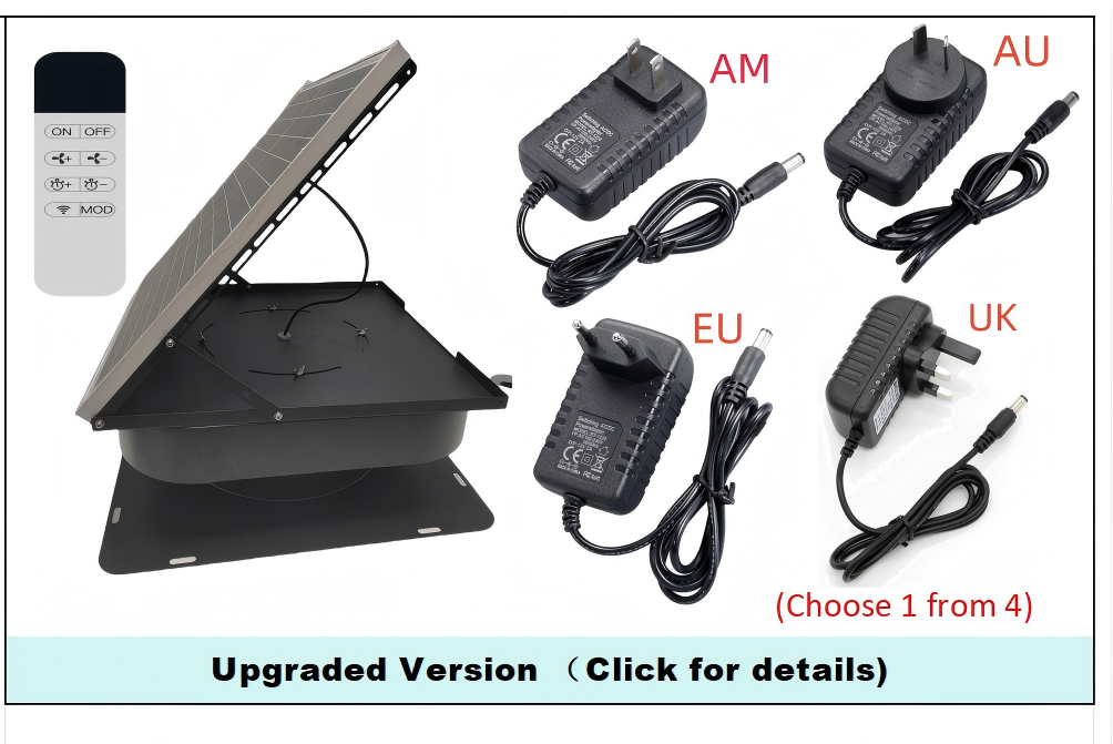Option B