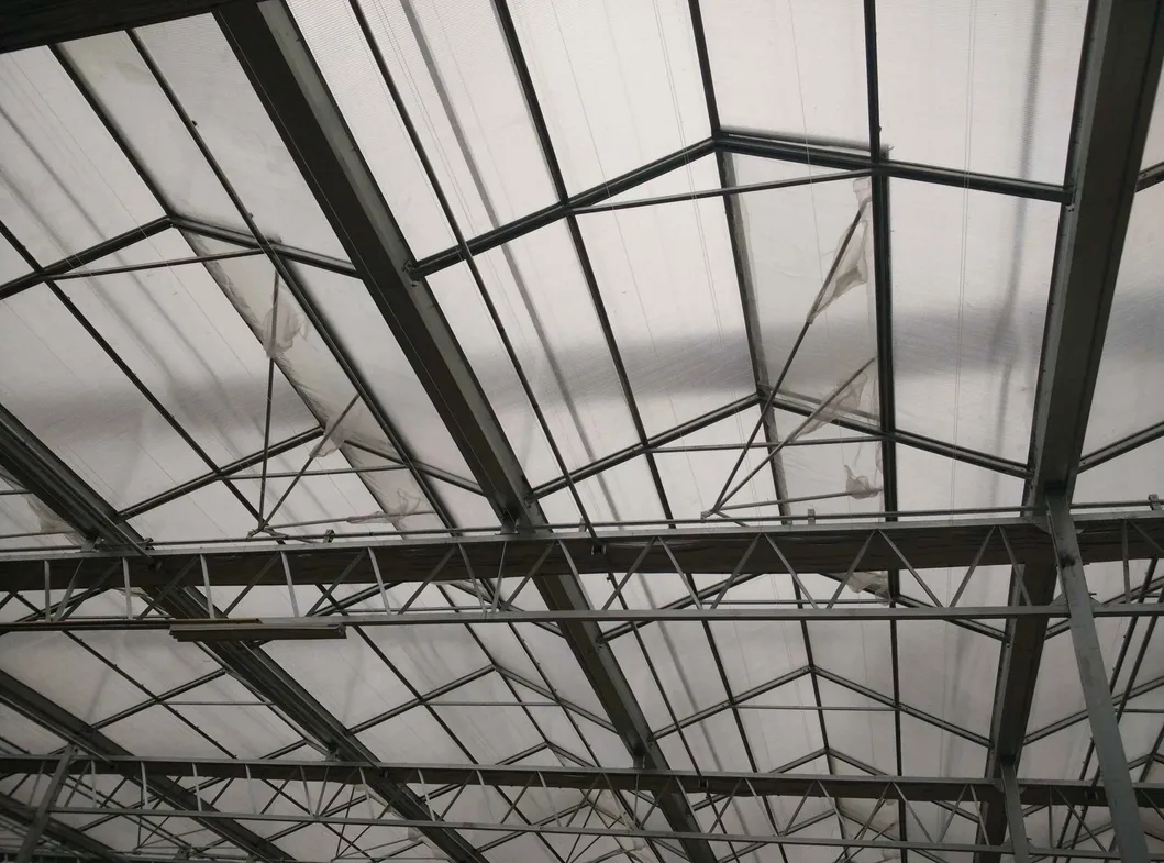 Roof Window