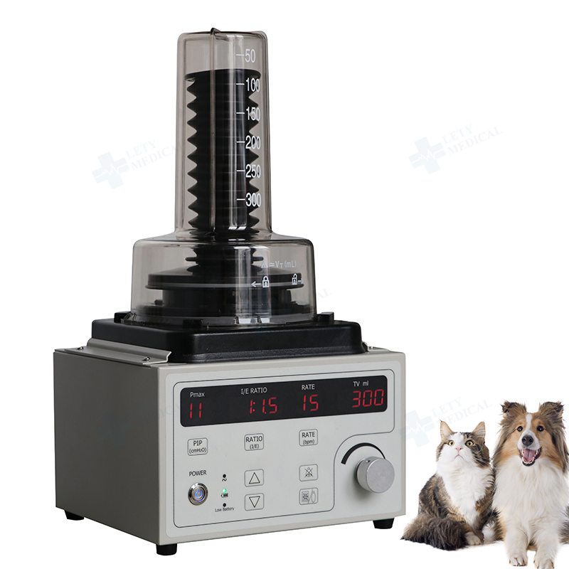 CE Anesthesia Ventilator for Vet Anesthesia Machine with Factory Price Anesthesia Breathing Machine