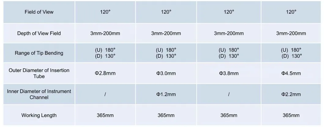 Endoscope Feature 2