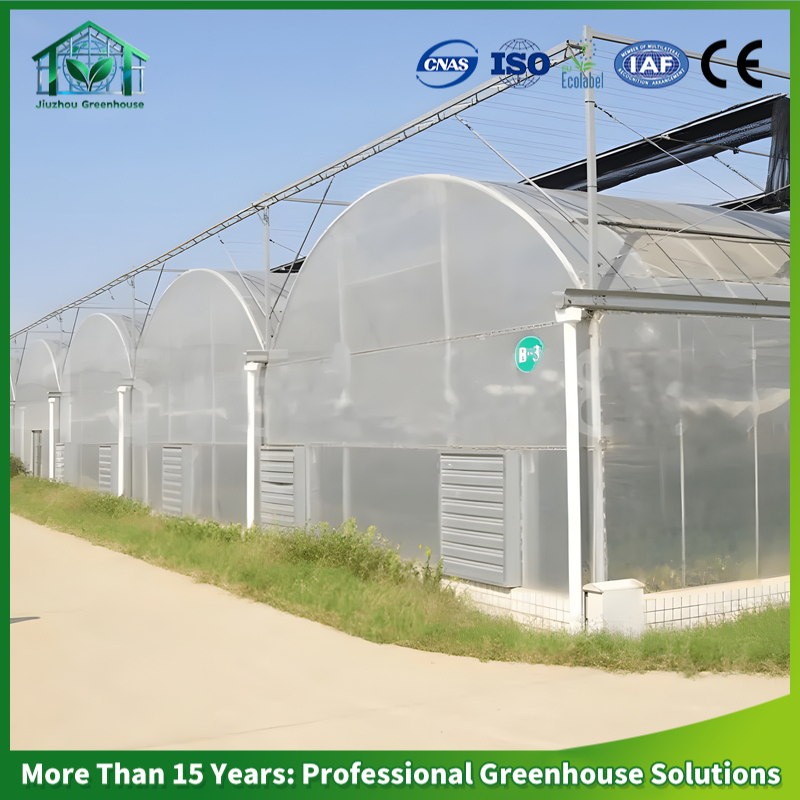 Versatile Hydroponic Greenhouse System for Diverse Vegetable Cultivation
